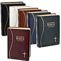 Bible NEW Catholic (NCB) 608/19