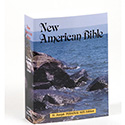 Bible Catholic NAB Study Edition 510/04