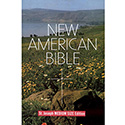 Bible Catholic NAB Student Edition 609/04