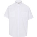 Ecclesiastical Tab #1 White