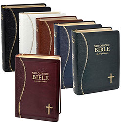 Bible NEW Catholic &#40;NCB&#41; 608&#47;19