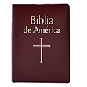 Biblia de America Imitation Leather 610/BGS