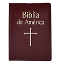 Biblia de America Imitation Leather 610&#47;BGS
