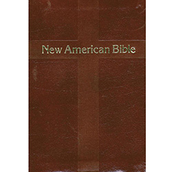 Bible Catholic NAB Personal Edition 510/13