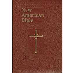 Bible Catholic NAB Personal Edition 510/10