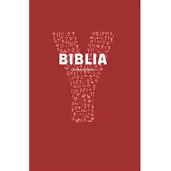 YOUCAT Bible Spanish